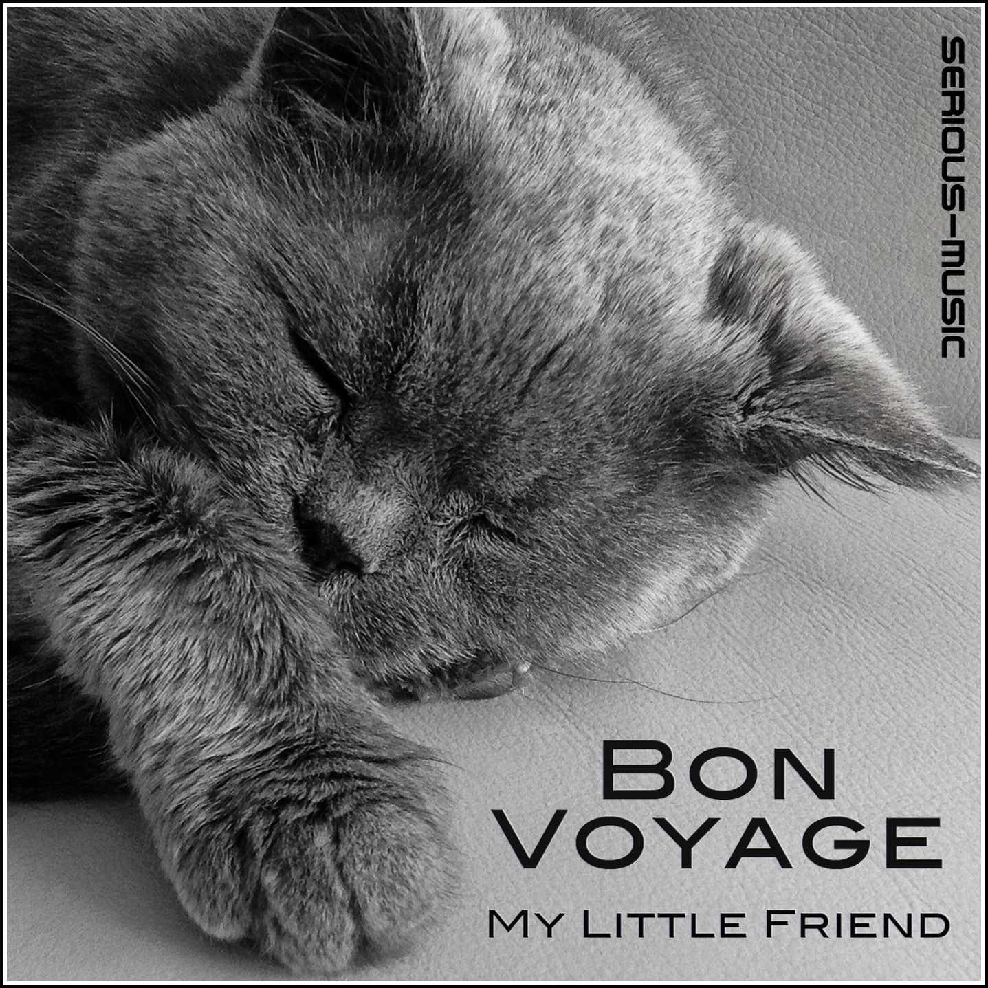 Bon Voyage My Little Friend - Album INTROSPECTIVE